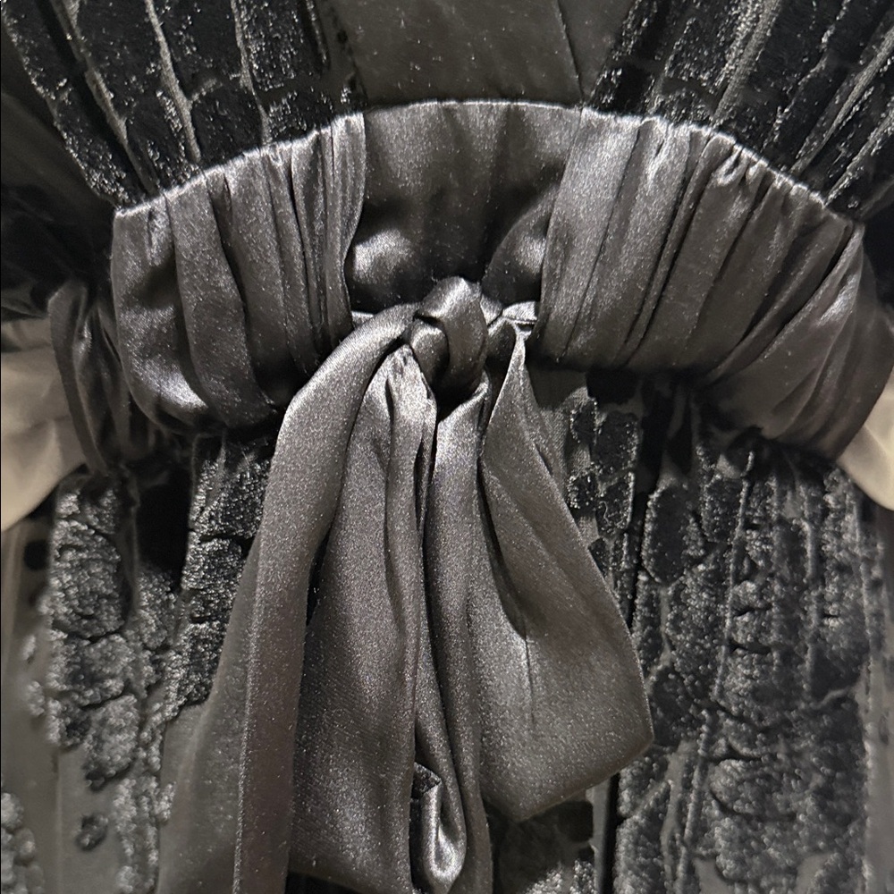 BCBGMaxAzria Black Velvet burnout satin trim Midi Dress, like New, Sz 10 - Picture 8 of 17